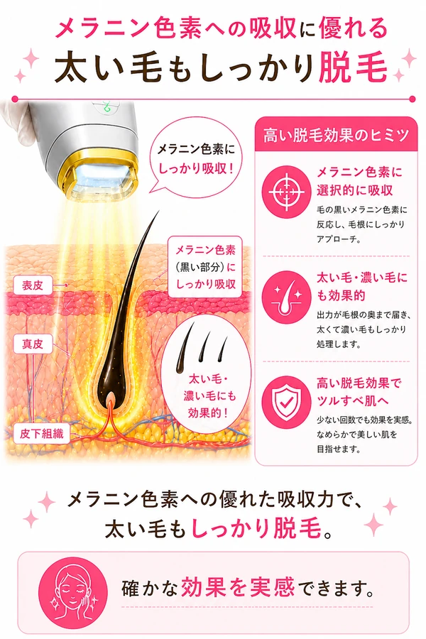 メラニン色素への吸収に優れ、太い毛もしっかり脱毛