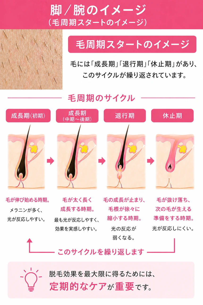 医療脱毛 1回目の照射（毛量100%）