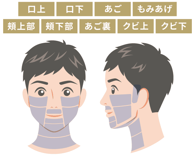 部位図解