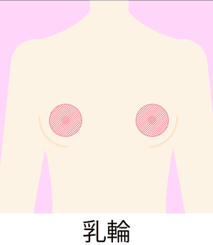 乳輪のイメージ画像