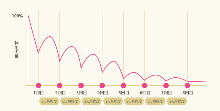 毛周期のイメージ図