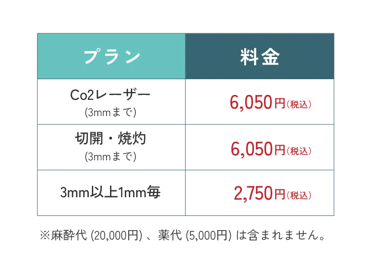 Co2レーザー(3ミリまで)税込6,050円 切開・焼灼(3ミリまで)税込6,050円 3ミリ以上1ミリ毎税込2,750円 ※麻酔代(20,000円)、薬代(5,000円)は含まれません。