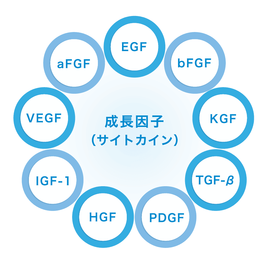成長因子(サイトカイン)のイメージ図