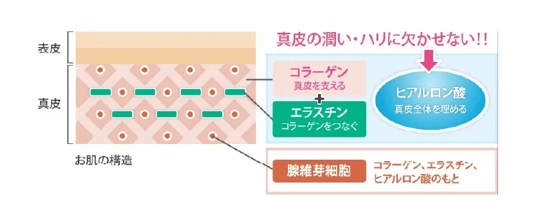 シワやたるみ肌のハリを改善図解