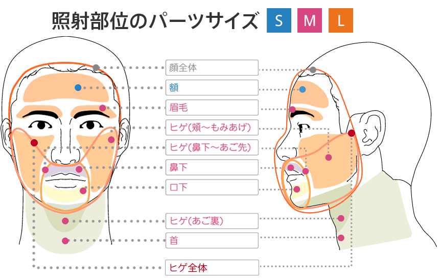 照射部位のパーツサイズ