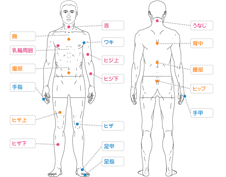 照射部位のパーツサイズ