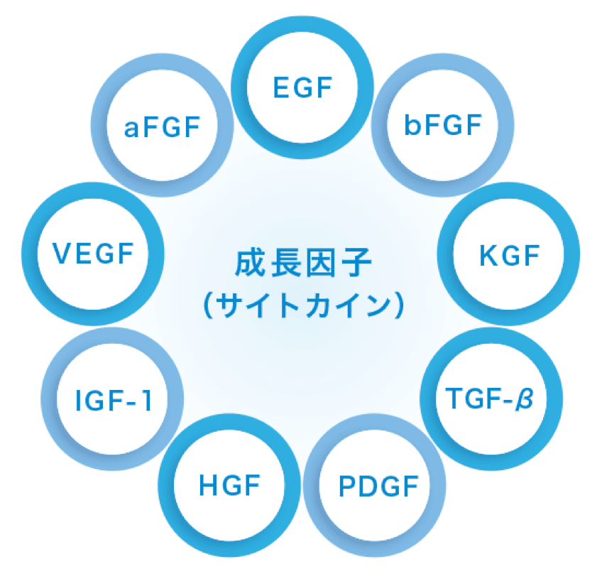 各成長因子（サイトカイン）について